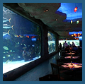 Downtown Aquarium
